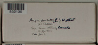 Image Associated With the Occurence